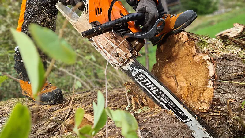 arborist sågar efter trädfällning