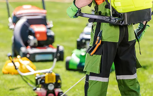 trädgård trädgårdsmästare arborist